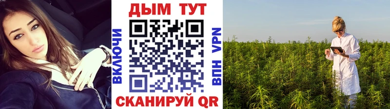 Купить закладку Кохма ГАШ  Канабис  Галлюциногенные грибы  Мефедрон 