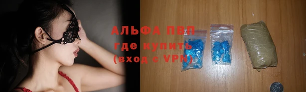 молекула духа Весьегонск