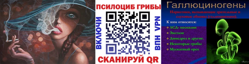 mega   Кохма  Галлюциногенные грибы мицелий 