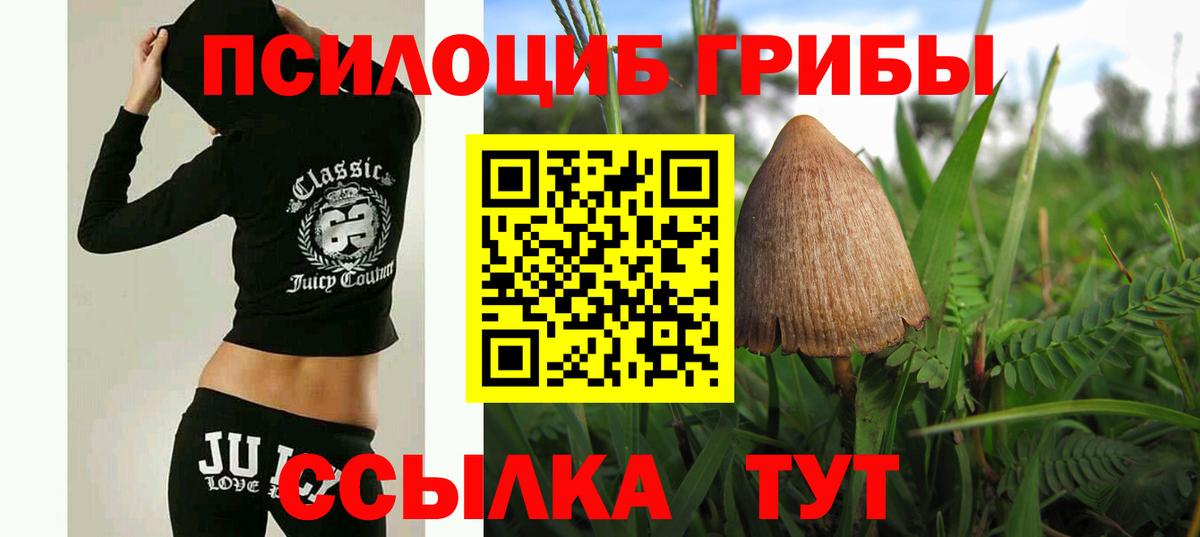 Псилоцибиновые грибы MAGIC MUSHROOMS  где продают наркотики  Кохма  Вход с VPN  Псилоцибиновые грибы GOLDEN TEACHER 