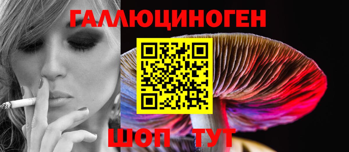 Галлюциногенные грибы прущие грибы Кохма
